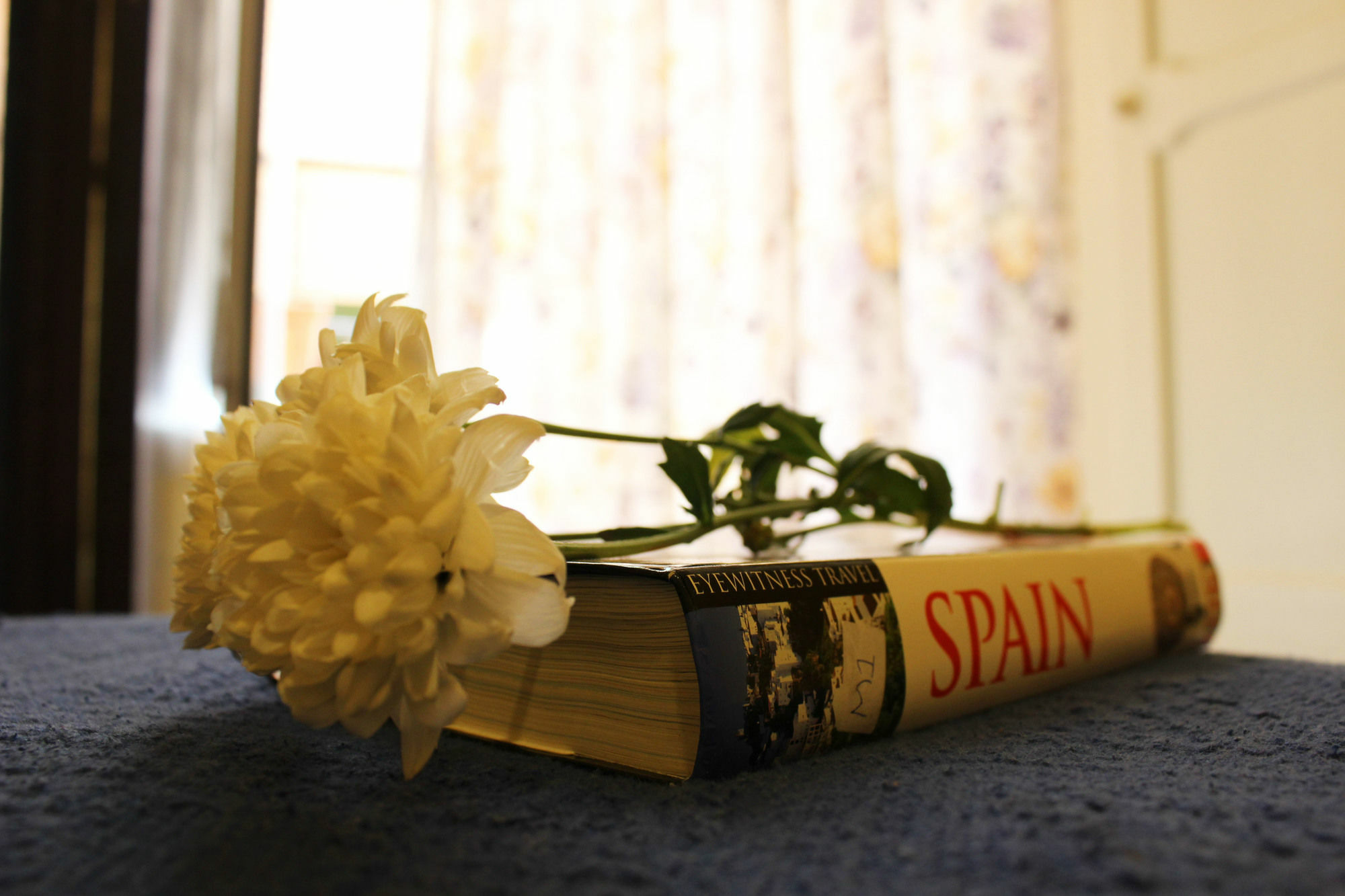 Pension Lisdos Seville Ngoại thất bức ảnh